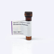 Rhodamine Phalloidin