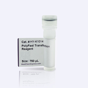 PolyFast Transfection Reagent