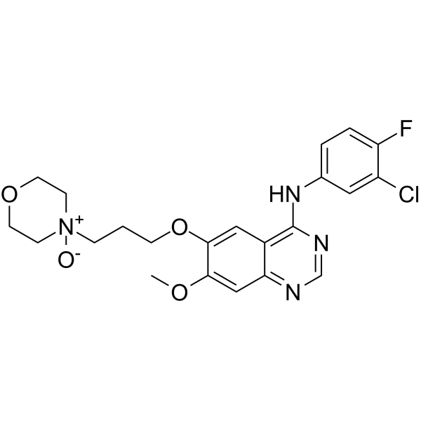 <em>Gefitinib</em> N-oxide