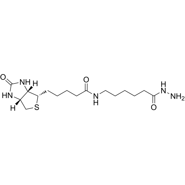 <em>Biotin</em> LC hydrazide