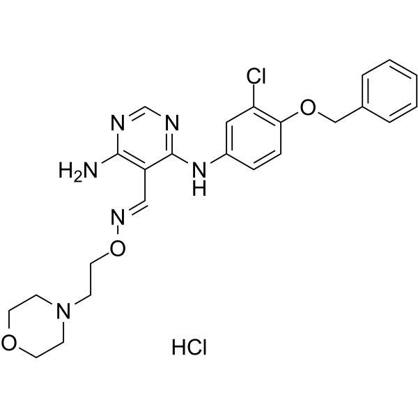 JNJ28871063 hydrochloride Chemical Structure