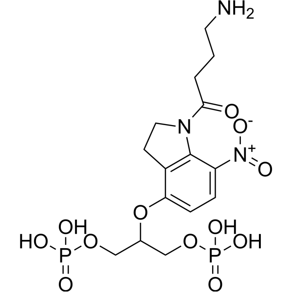 DPNI-GABA Chemical Structure