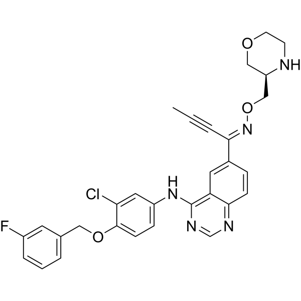 Epertinib Chemical Structure