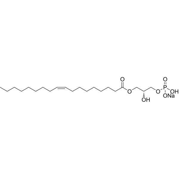<em>1</em>-Oleoyl lysophosphatidic acid sodium