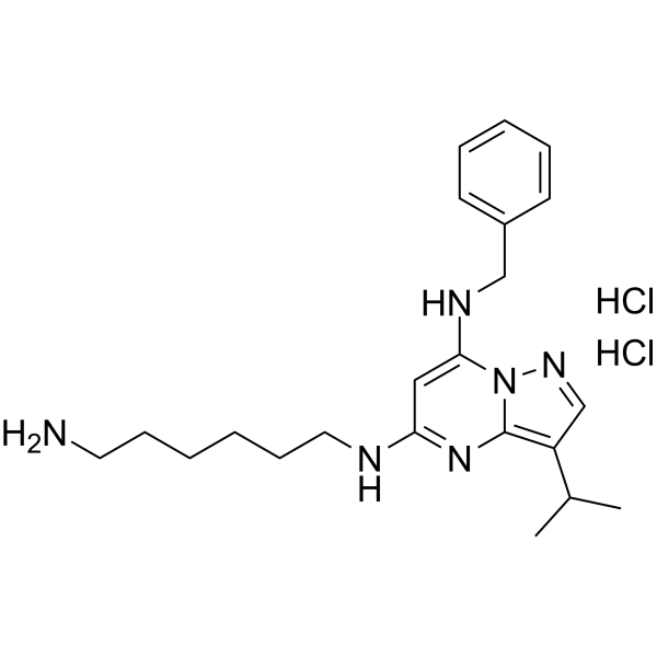 BS-181 dihydrochloride Chemical Structure