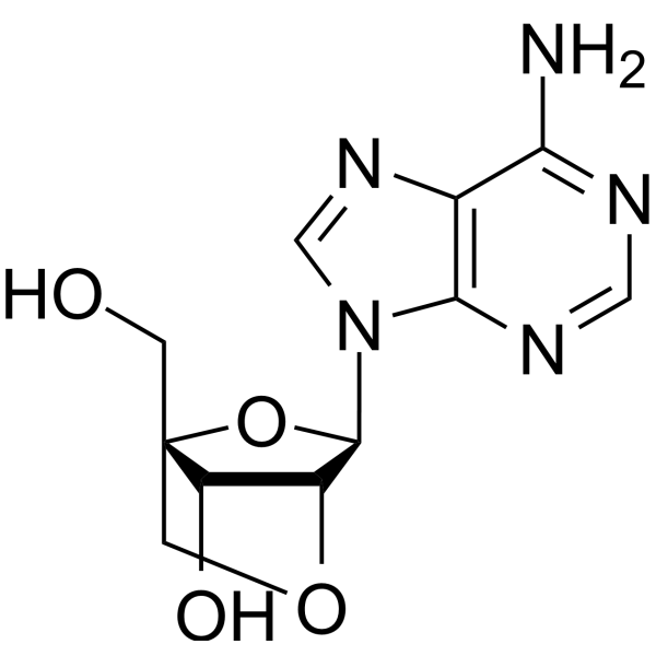 2'-O,<em>4</em>'-<em>C</em>-Methyleneadenosine