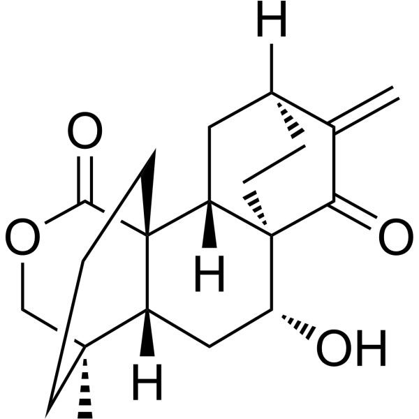 15-Oxospiramilactone Chemical Structure