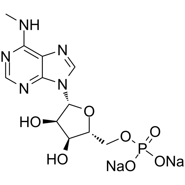 N<em>6-Methyladenosine</em> 5'-monophosphate disodium salt