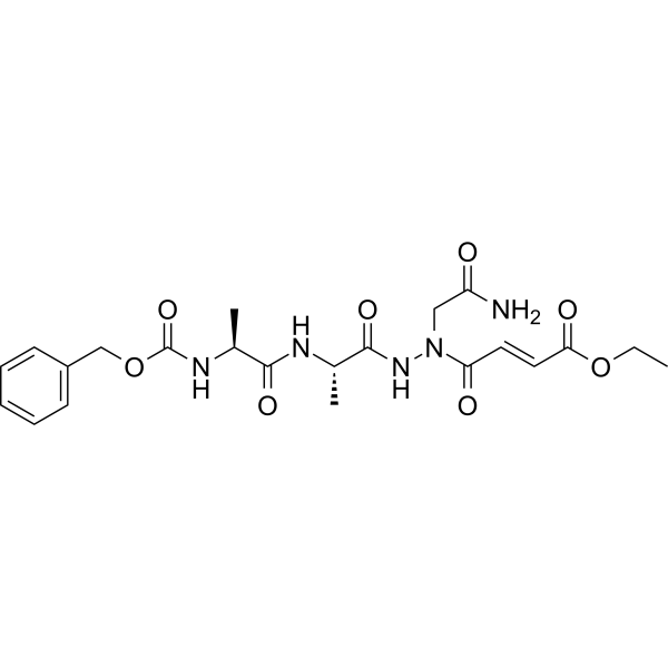 RR-11a analog Chemical Structure