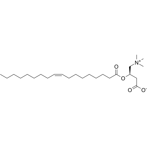 Oleoylcarnitine Chemical Structure