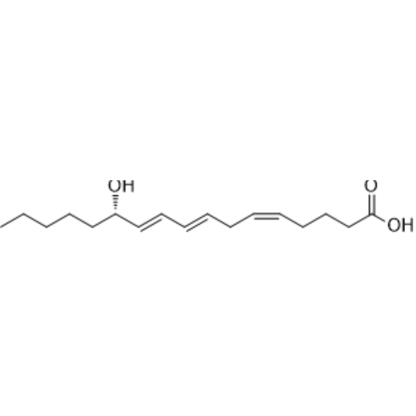 12S-HHT Chemical Structure