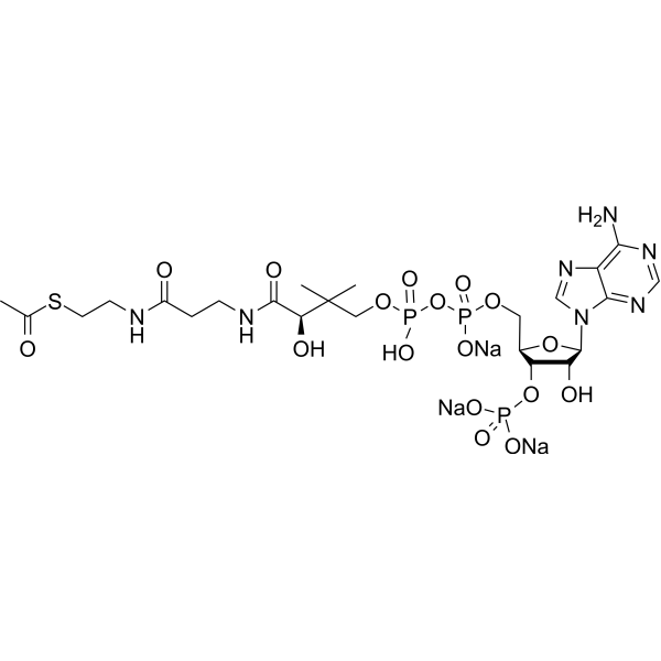 Acetyl Coenzyme A trisodium