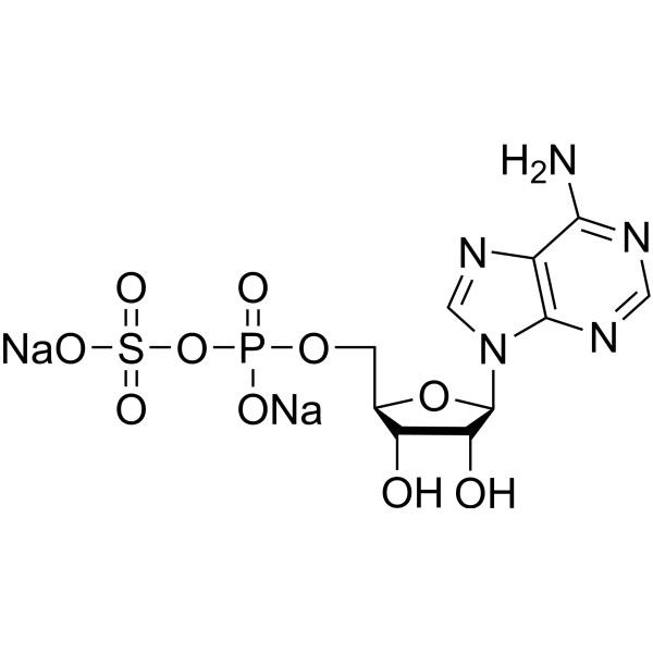 Adenosine 5'-phosphosulfate <em>disodium</em>