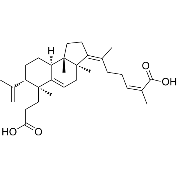 Kadsuracoccinic acid A Chemical Structure
