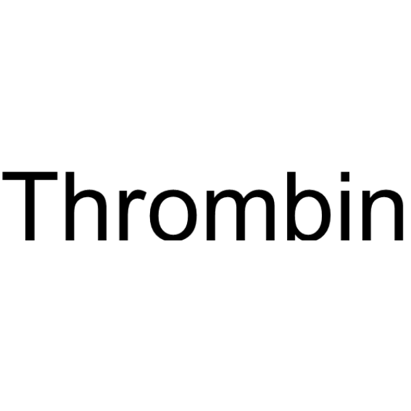 Thrombin  (MW 37kDa)