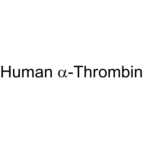 Human α-<em>Thrombin</em>