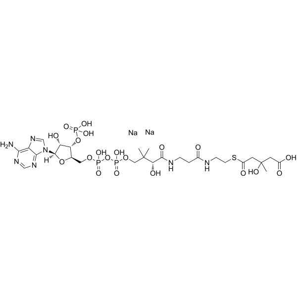 DL-<em>3-Hydroxy</em>-3-<em>methylglutaryl</em> coenzyme A disodium