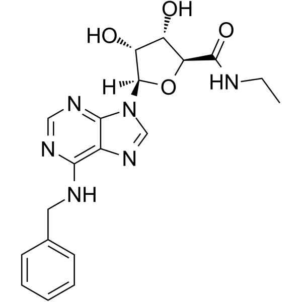 N6-Benzyl-5'-ethylcarboxamido <em>adenosine</em>