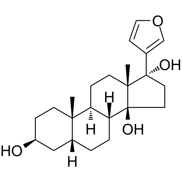 Rostafuroxin