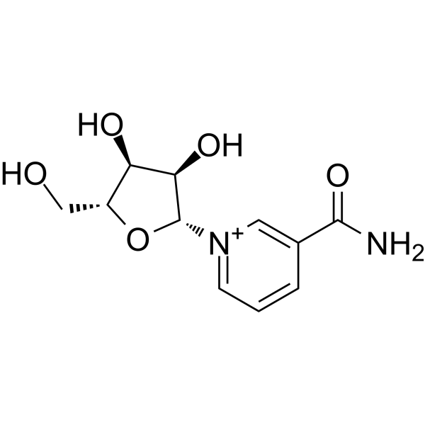 <em>Nicotinamide</em> <em>riboside</em>