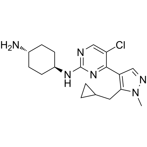 <em>Casein</em> Kinase inhibitor A51