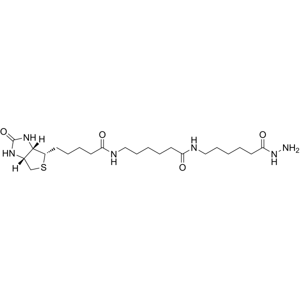 Biotin-XX hydrazide Chemical Structure