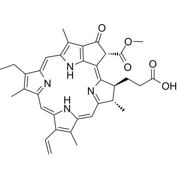 Pheophorbide A Chemical Structure