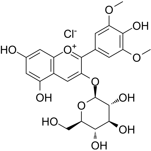 Malvidin-3-<em>glucoside</em> chloride