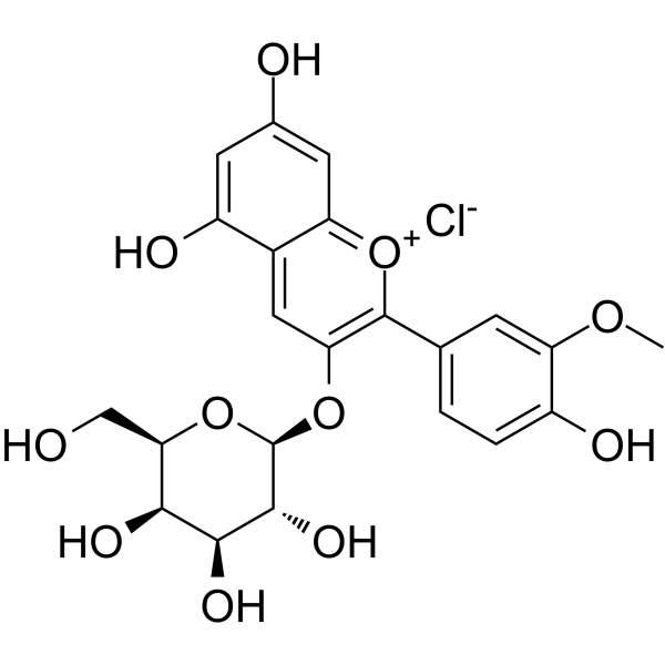 Peonidin-3-O-galactoside chloride Chemical Structure