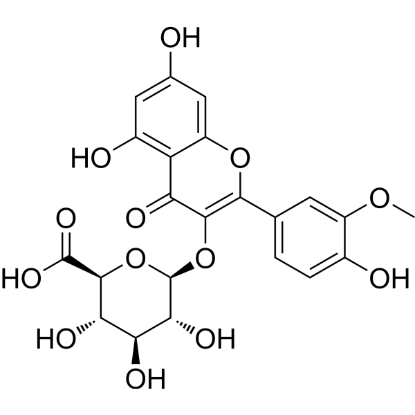 Isorhamnetin 3-<em>glucuronide</em>