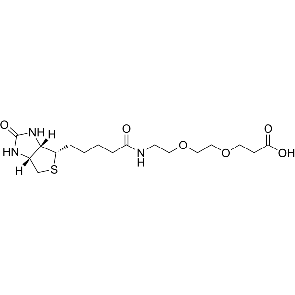 <em>Biotin</em>-PEG2-acid