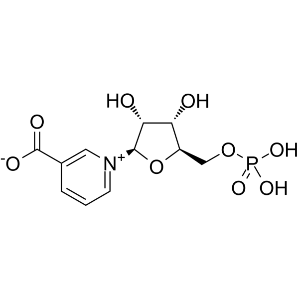 <em>Nicotinic</em> acid mononucleotide