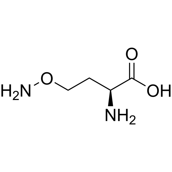 L-Canaline Chemical Structure