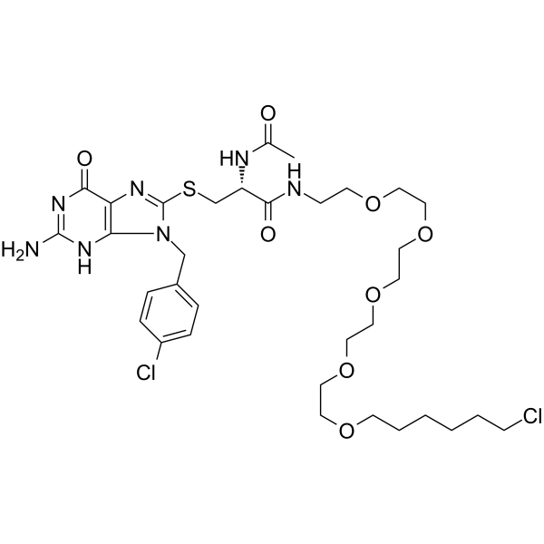 Halo PROTAC 1 Chemical Structure