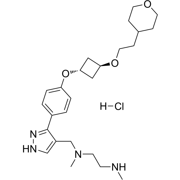 <em>EPZ020411</em> hydrochloride