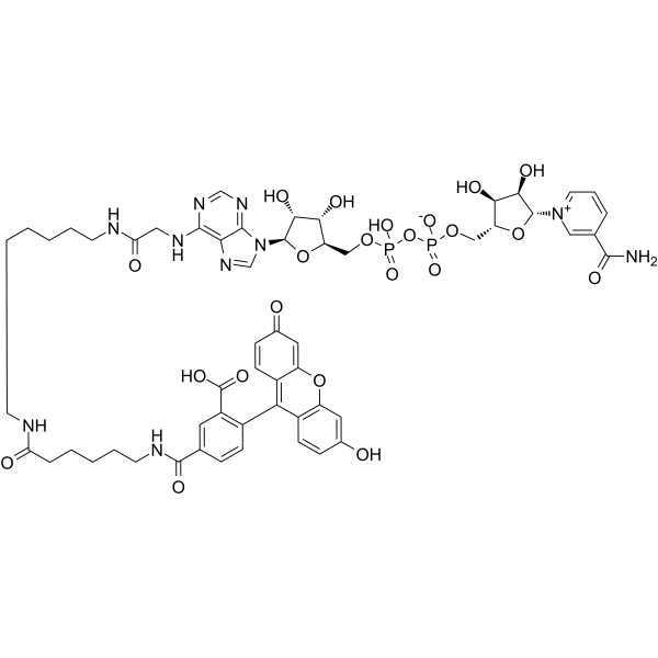 Fluorescein-NAD+ Chemical Structure