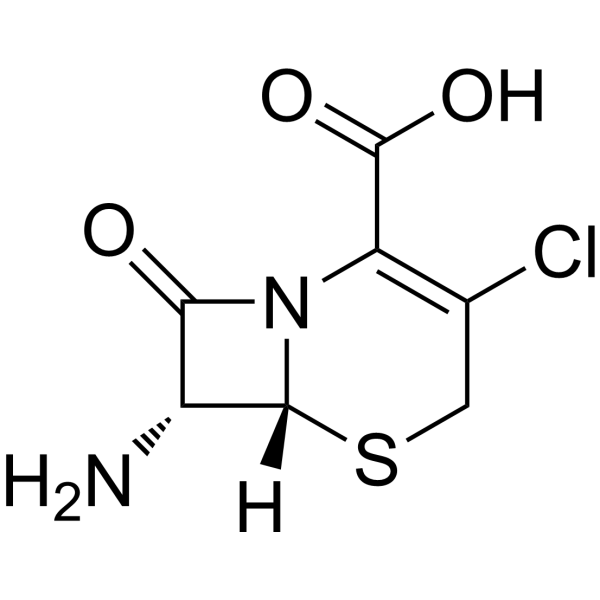 7-<em>Amino</em>-3-chloro cephalosporanic acid