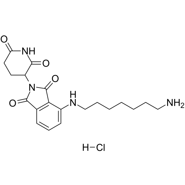 <em>Pomalidomide</em>-C7-NH2 hydrochloride