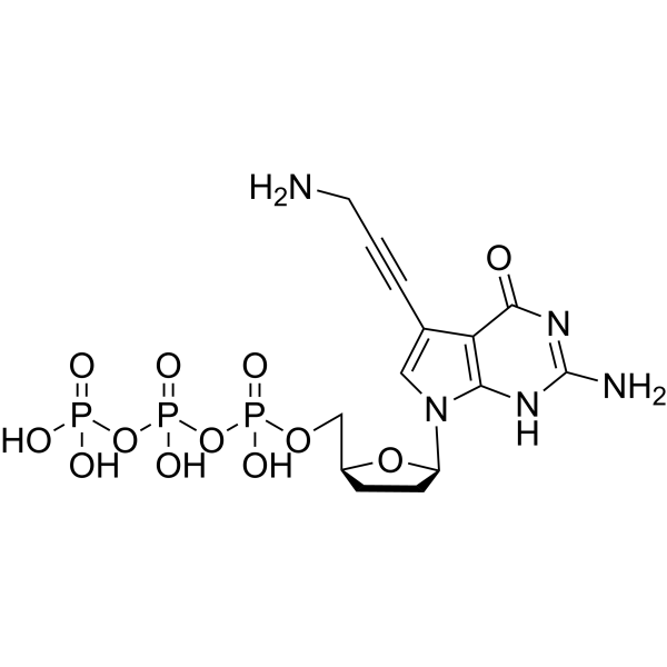 7-Deaza-7-propargylamino-ddGTP