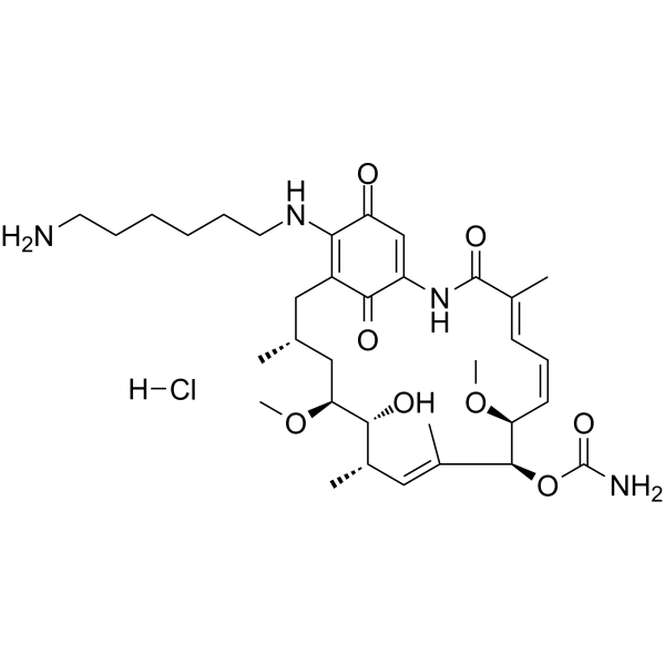 Aminohexylgeldanamycin hydrochloride Chemical Structure