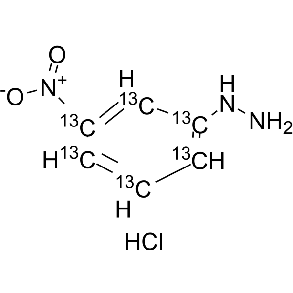 3-Nitrophenylhydrazine-<sup>13</sup>C<sub>6</sub> hydrochloride Chemical Structure