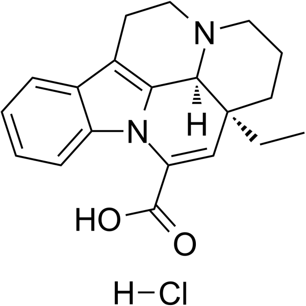 Apovincaminic acid hydrochloride salt Chemical Structure
