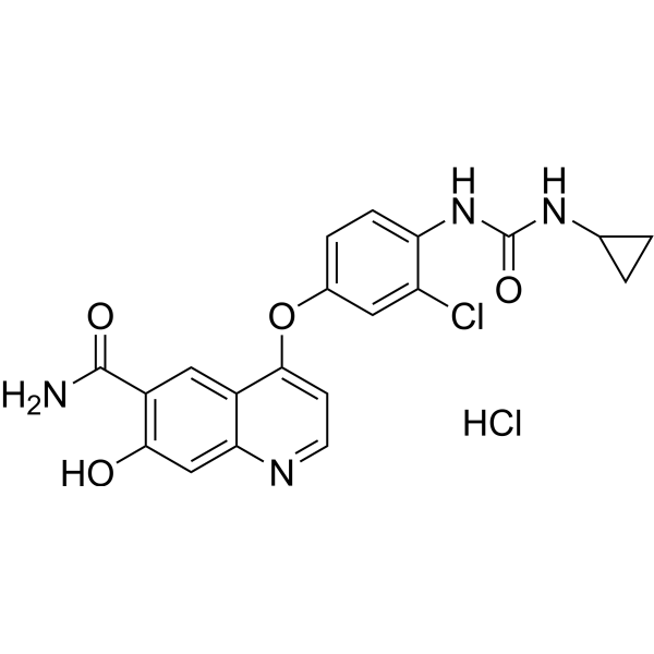 O-Demethyl Lenvatinib hydrochloride Chemical Structure