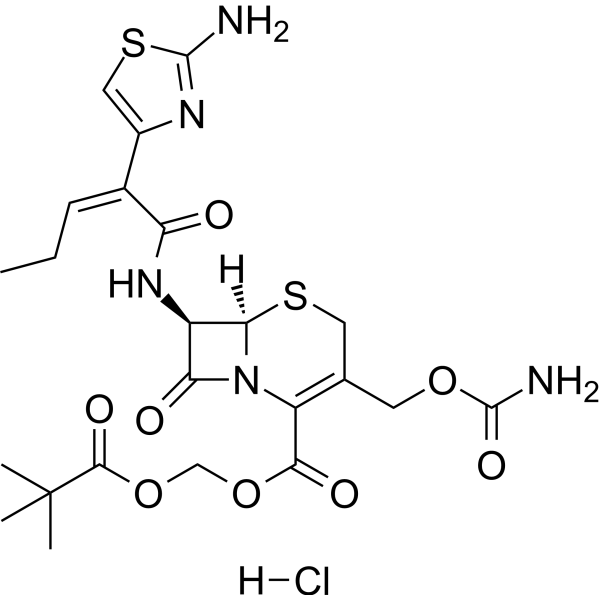 Cefcapene pivoxil hydrochloride Chemical Structure
