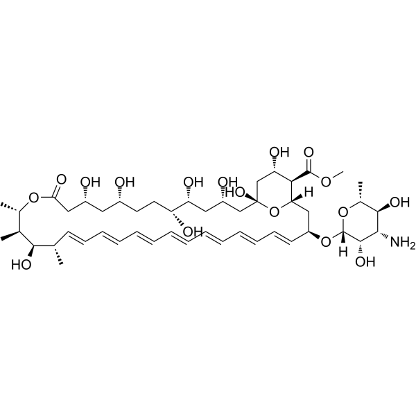 Amphotericin B methyl ester Chemical Structure
