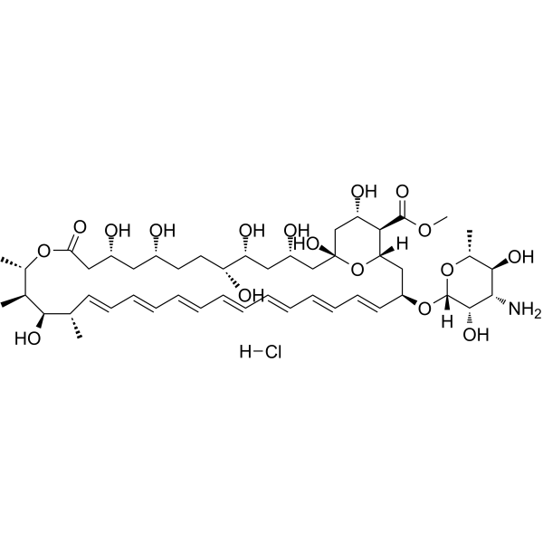 Amphotericin B methyl ester hydrochloride Chemical Structure