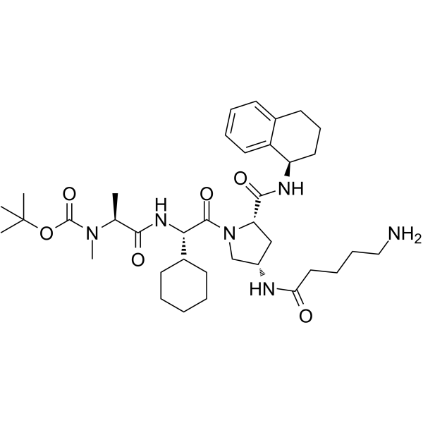 Boc-A 410099.1 amide-alkylC4-amine Chemical Structure