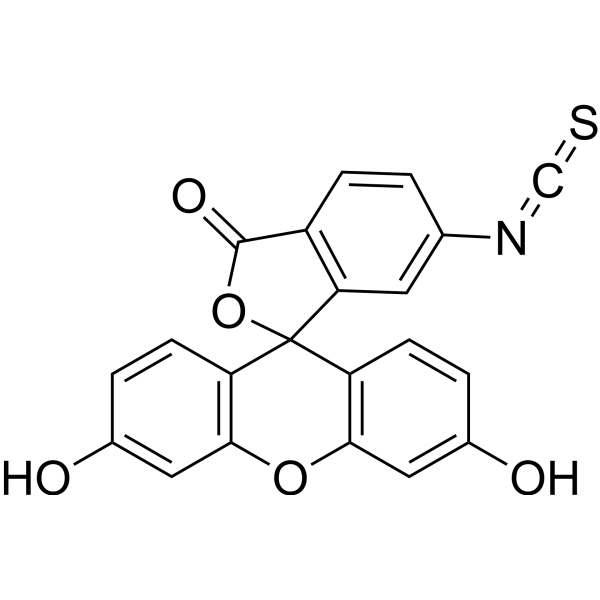 <em>Fluorescein</em>-6-isothiocyanate