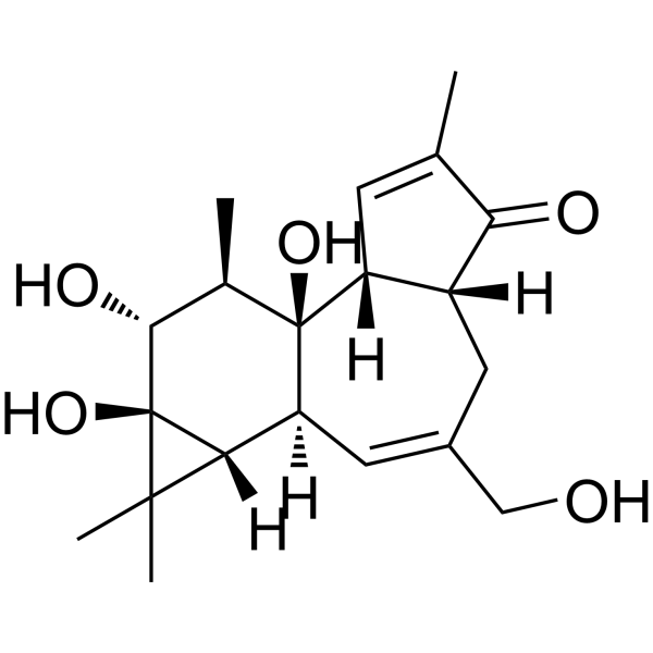 4-Deoxy-4α-phorbol Chemical Structure