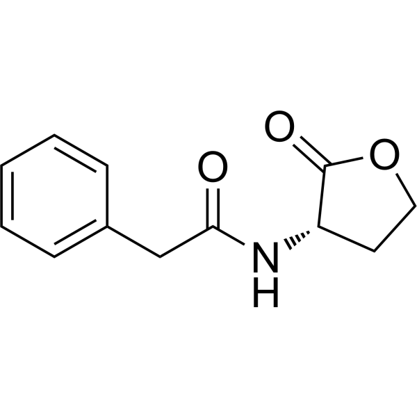 N-Phenylacetyl-L-homoserine lactone Chemical Structure